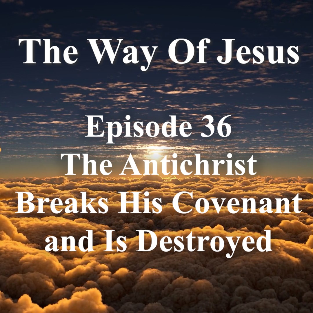 The Way of Jesus by Preston Thomas